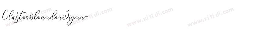 Claster0leanderSigna字体转换