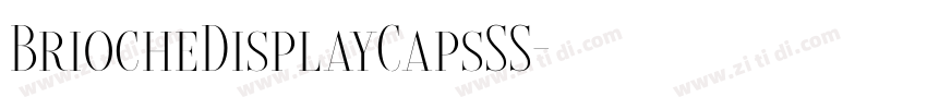 BriocheDisplayCapsSS字体转换