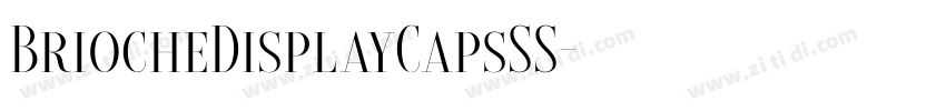 BriocheDisplayCapsSS字体转换