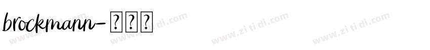 brockmann字体转换