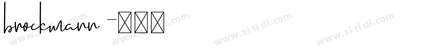 brockmann字体转换