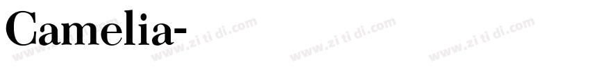 Camelia字体转换