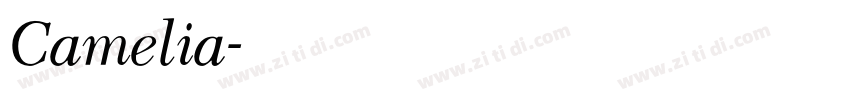 Camelia字体转换