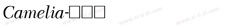 Camelia字体转换