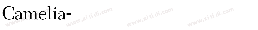 Camelia字体转换
