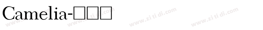 Camelia字体转换