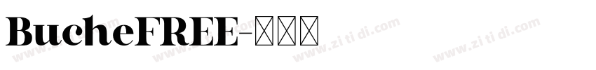BucheFREE字体转换