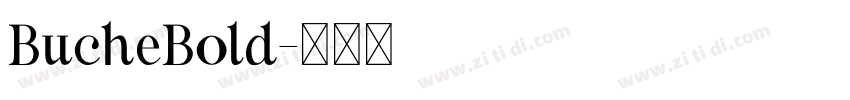 BucheBold字体转换