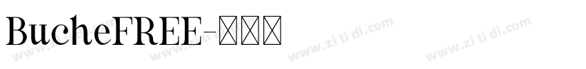 BucheFREE字体转换
