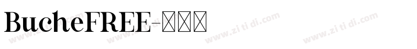 BucheFREE字体转换