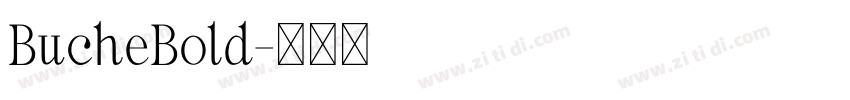 BucheBold字体转换