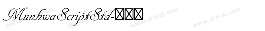 MunhwaScriptStd字体转换