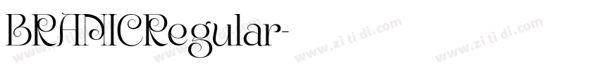 BRANICRegular字体转换
