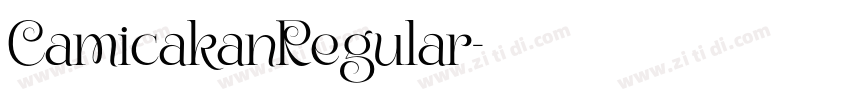 CamicakanRegular字体转换