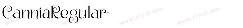 CanniaRegular字体转换