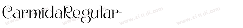 CarmidaRegular字体转换