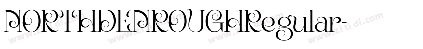 NORTHDENROUGHRegular字体转换