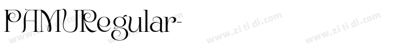 PAMURegular字体转换