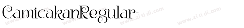 CamicakanRegular字体转换