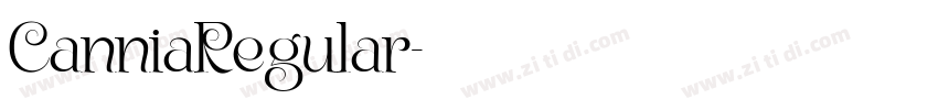 CanniaRegular字体转换