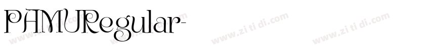PAMURegular字体转换