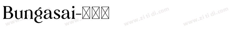 Bungasai字体转换
