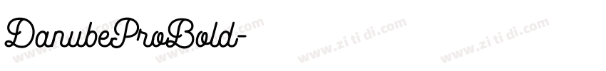DanubeProBold字体转换