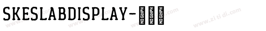 skeSlabDisplay字体转换