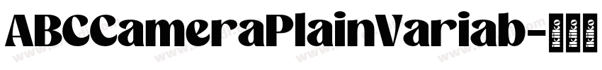 ABCCameraPlainVariab字体转换