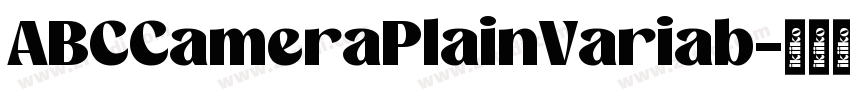ABCCameraPlainVariab字体转换