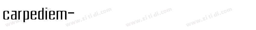 carpediem字体转换