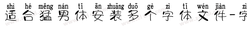 适合猛男体安装多个字体文件字体转换
