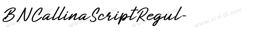 BNCallinaScriptRegul字体转换 BNCallinaScriptRegul字体转换