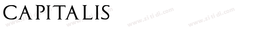 Capitalis字体转换