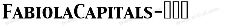 FabiolaCapitals字体转换
