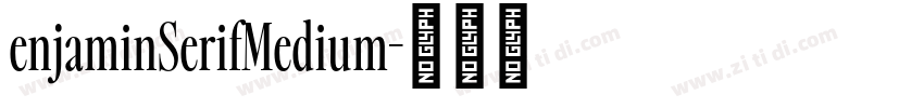 enjaminSerifMedium字体转换
