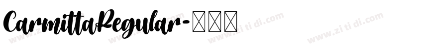 CarmittaRegular字体转换