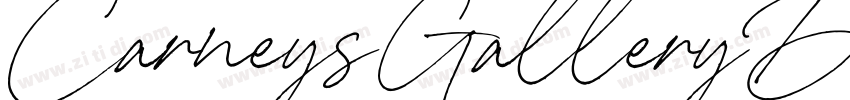 CarneysGalleryDemoVe字体转换