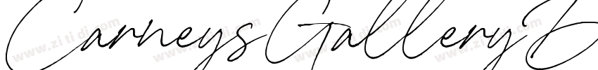 CarneysGalleryDemoVe字体转换