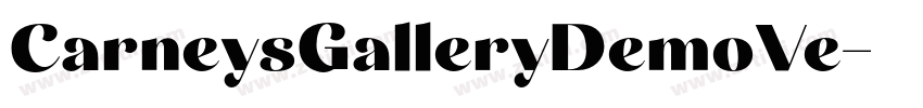 CarneysGalleryDemoVe字体转换