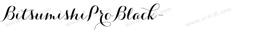BitsumishiProBlack字体转换