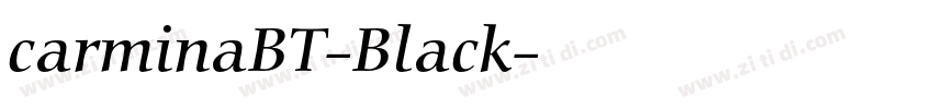 carminaBT-Black字体转换