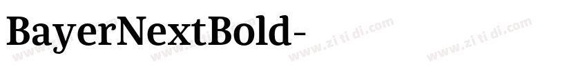 BayerNextBold字体转换