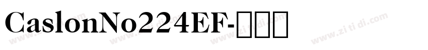 CaslonNo224EF字体转换