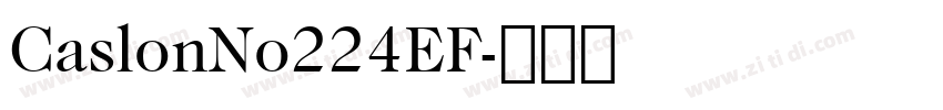 CaslonNo224EF字体转换