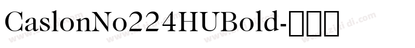 CaslonNo224HUBold字体转换