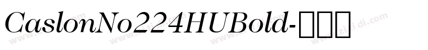 CaslonNo224HUBold字体转换
