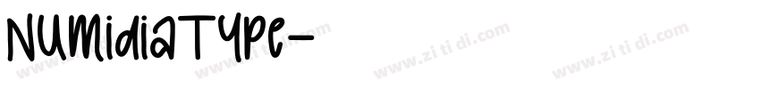 NumidiaType字体转换