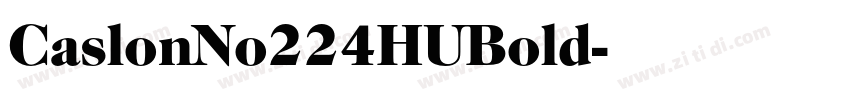 CaslonNo224HUBold字体转换