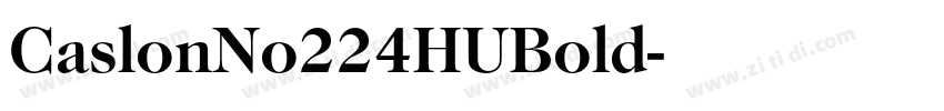 CaslonNo224HUBold字体转换